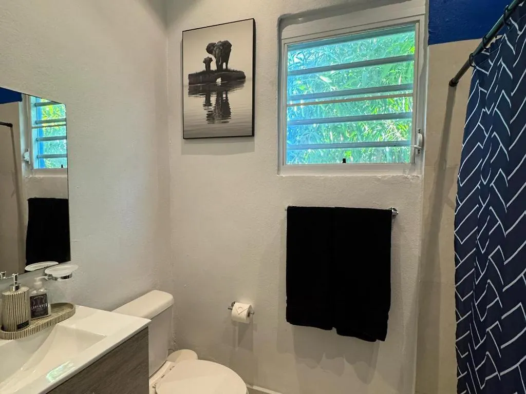 Elegant 1-Br Penthouse In Condado! Apartment San Juan